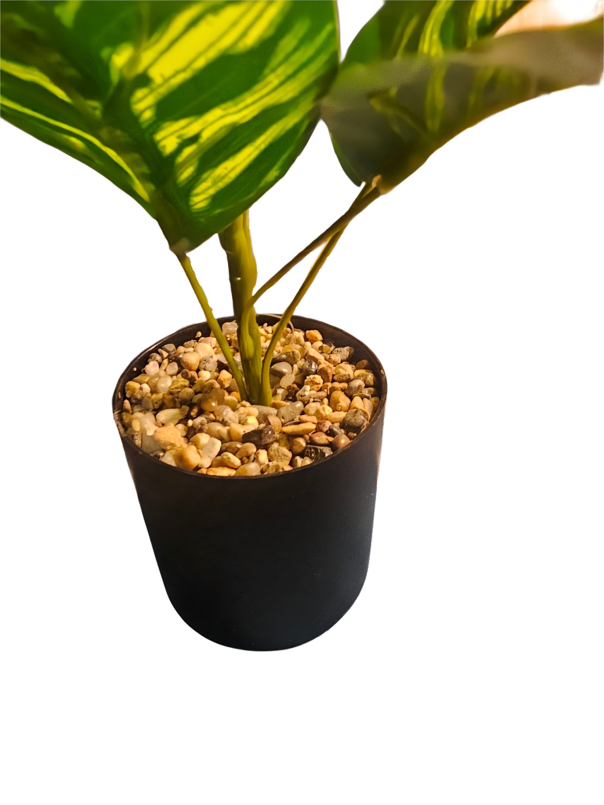 Picsart_25-10-27_20-34-19-356