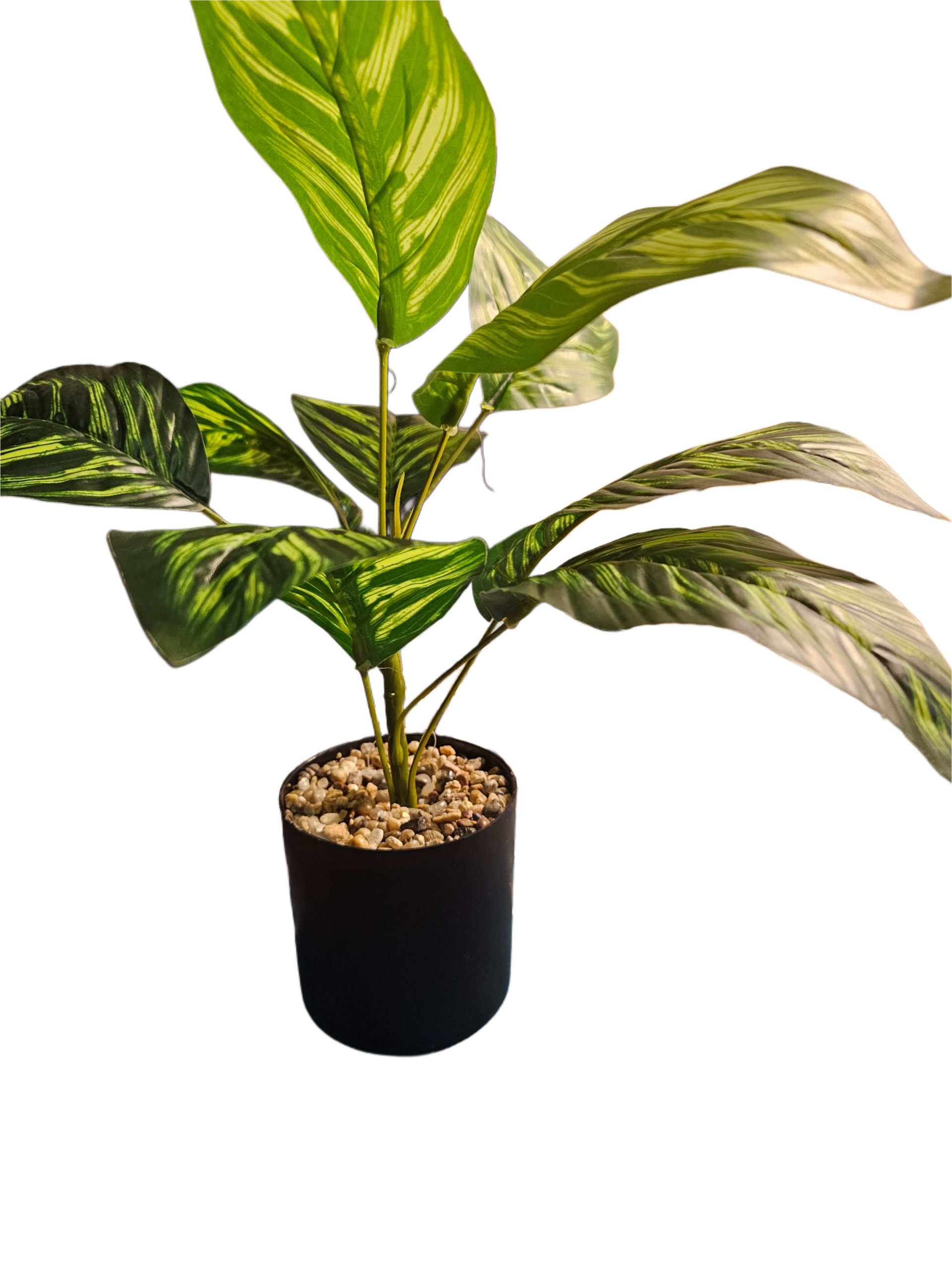 Picsart_25-10-27_20-34-44-441