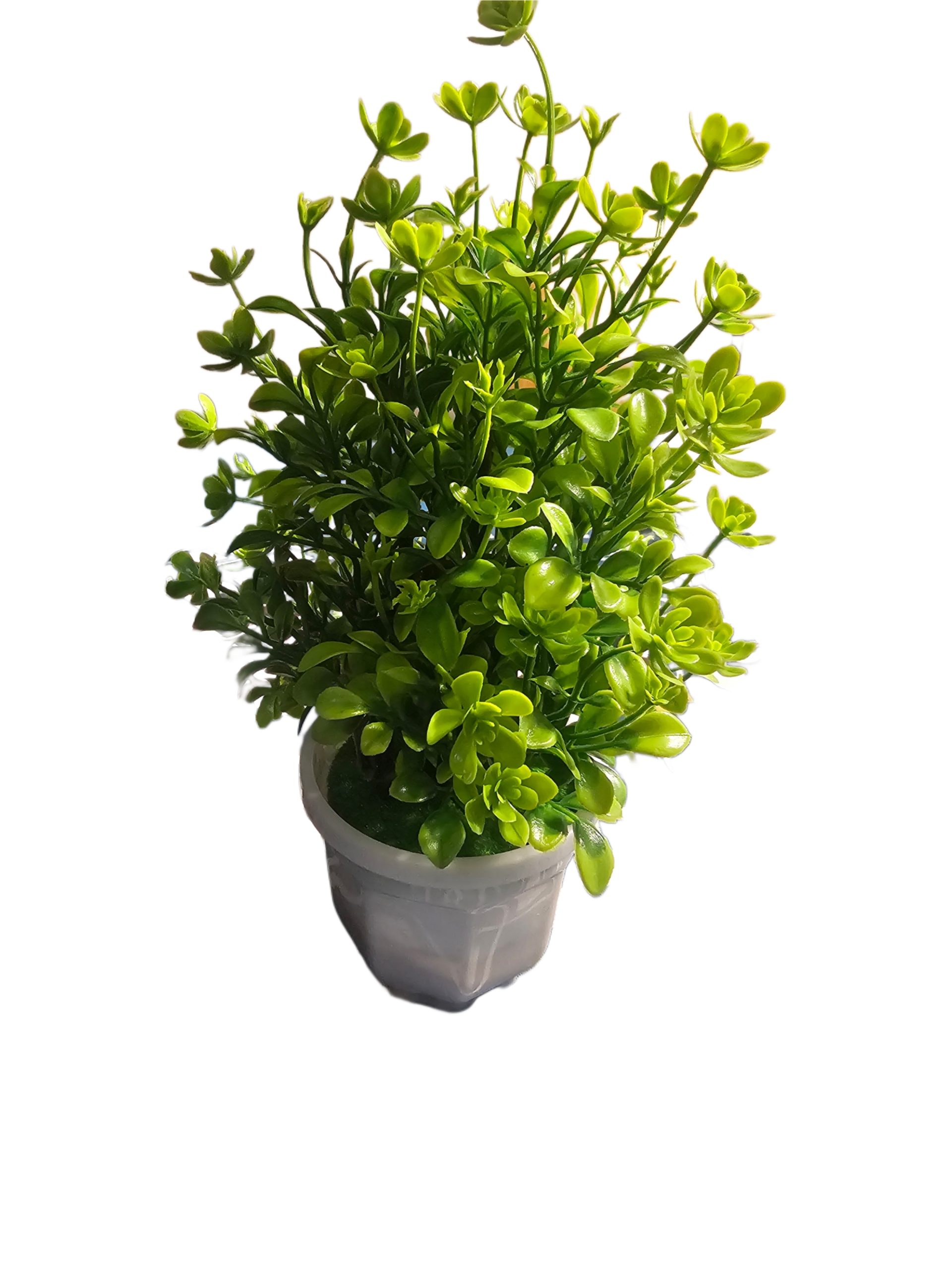 Picsart_25-10-27_20-35-14-848