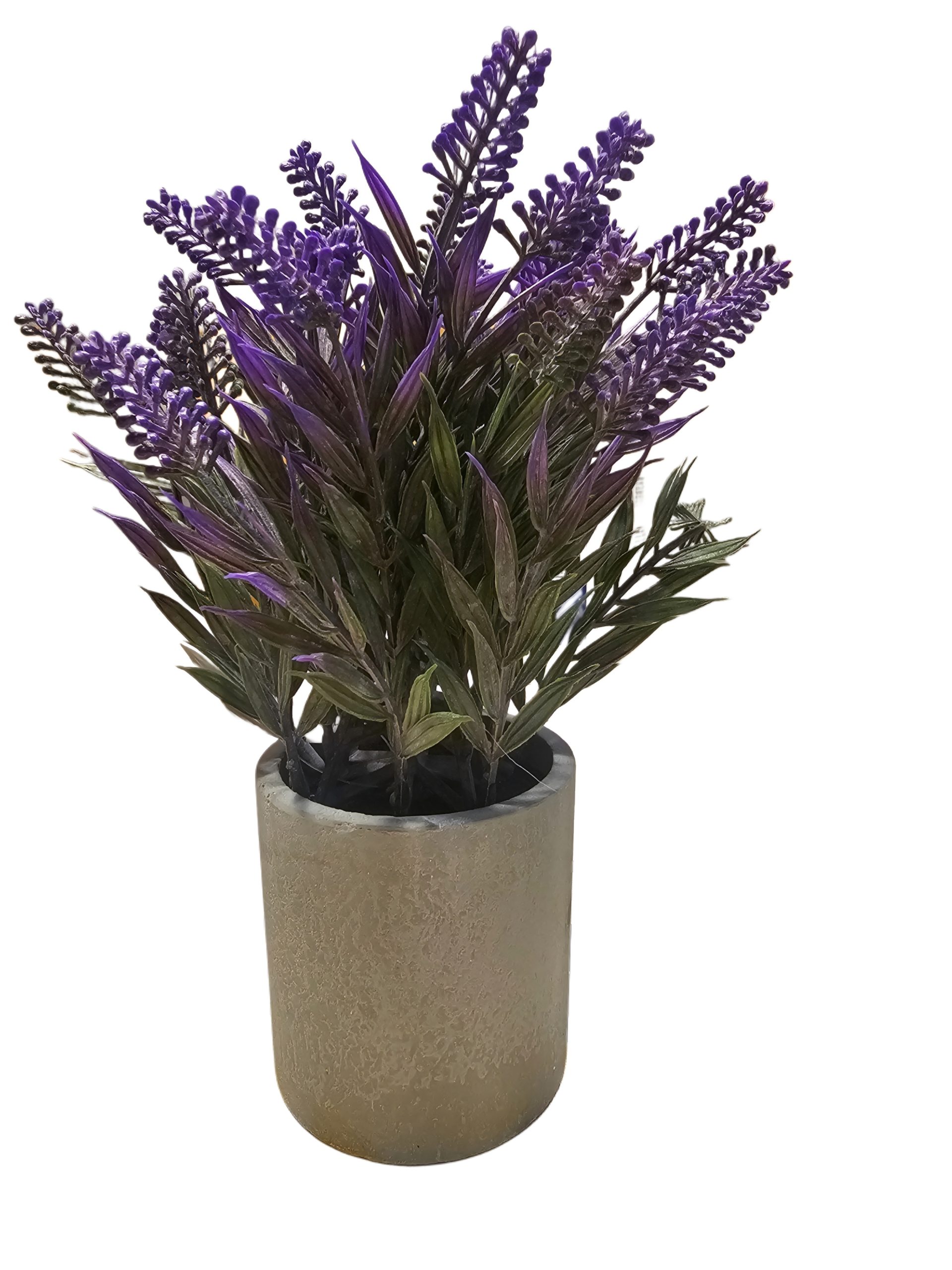 Picsart_25-11-05_21-08-19-381